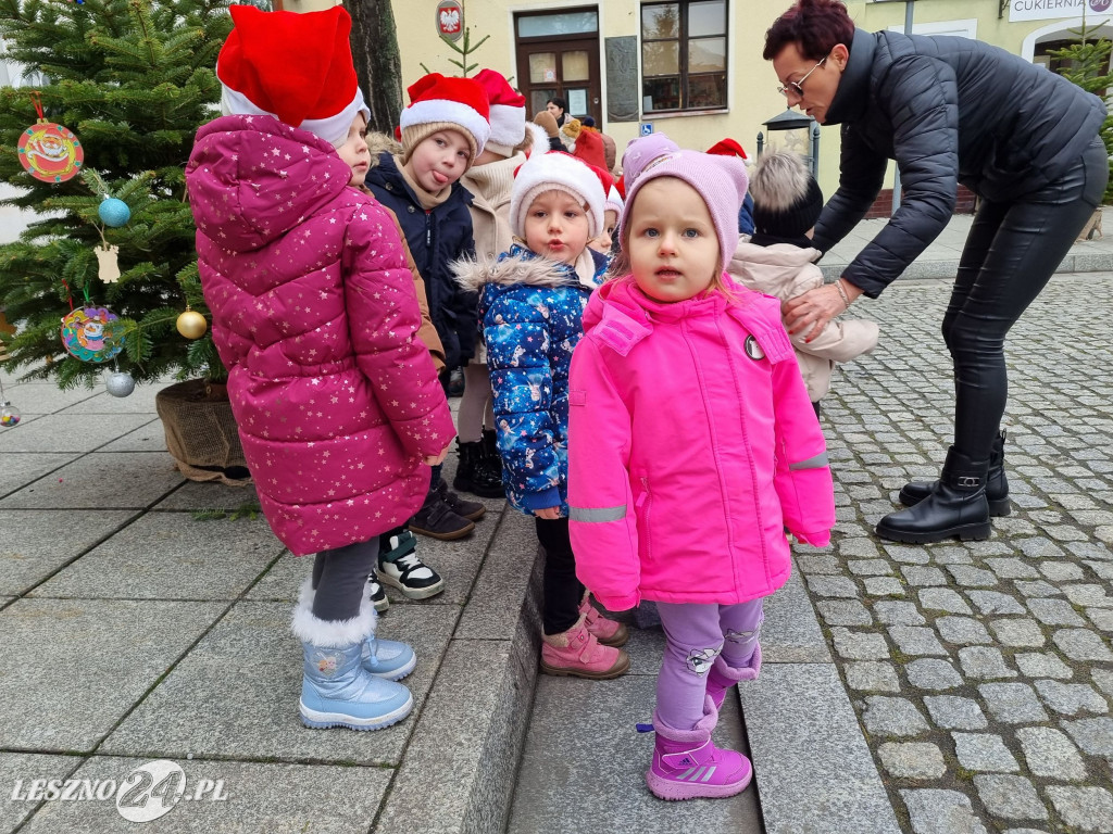 Przedszkolaki ustroiły choinki na Rynku w Rydzynie