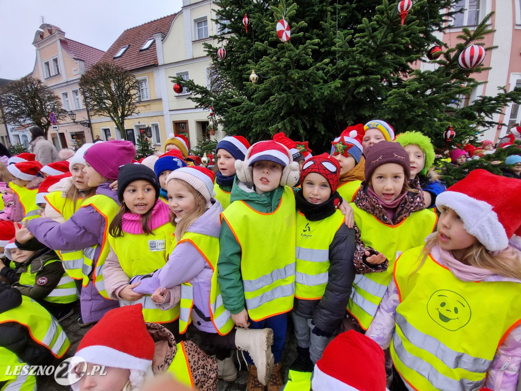 Przedszkolaki ustroiły choinki na Rynku w Rydzynie