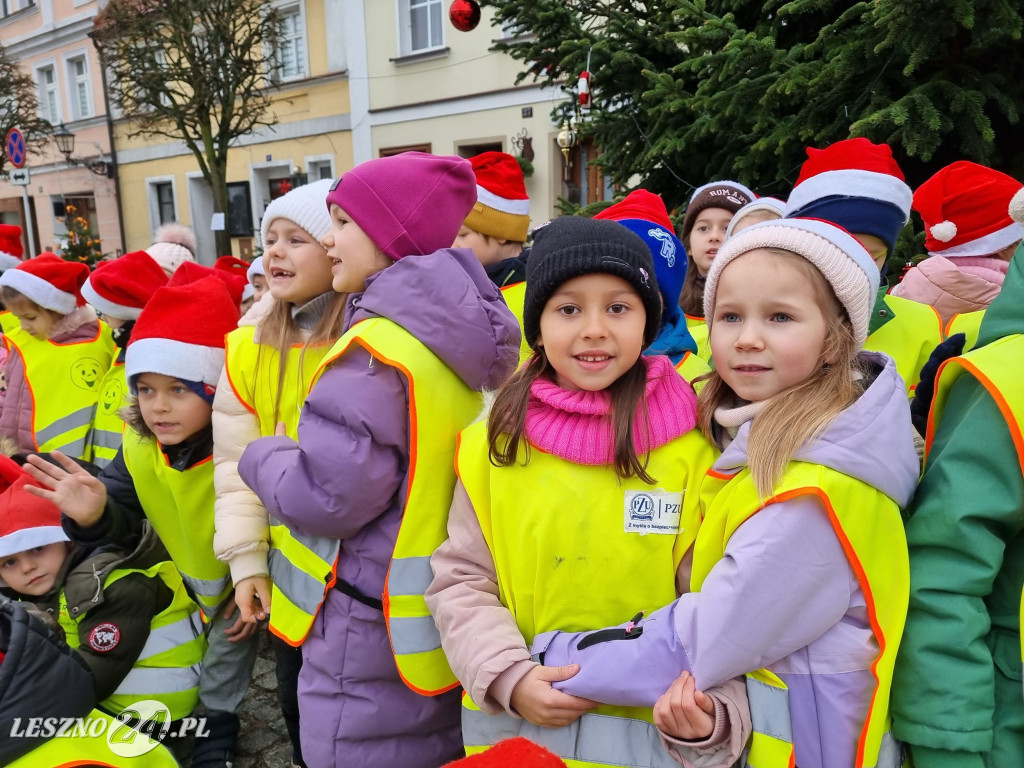 Przedszkolaki ustroiły choinki na Rynku w Rydzynie