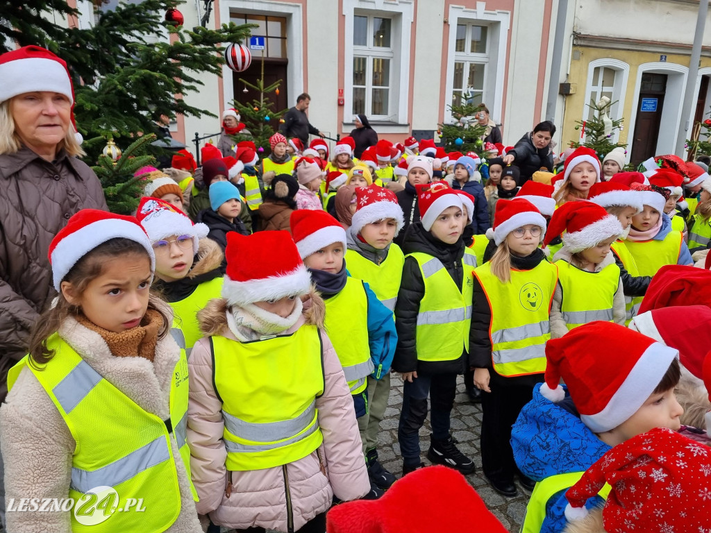 Przedszkolaki ustroiły choinki na Rynku w Rydzynie