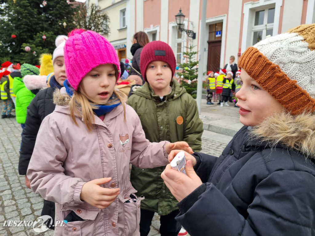 Przedszkolaki ustroiły choinki na Rynku w Rydzynie