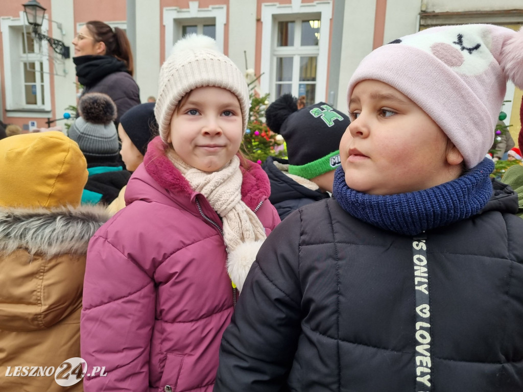 Przedszkolaki ustroiły choinki na Rynku w Rydzynie