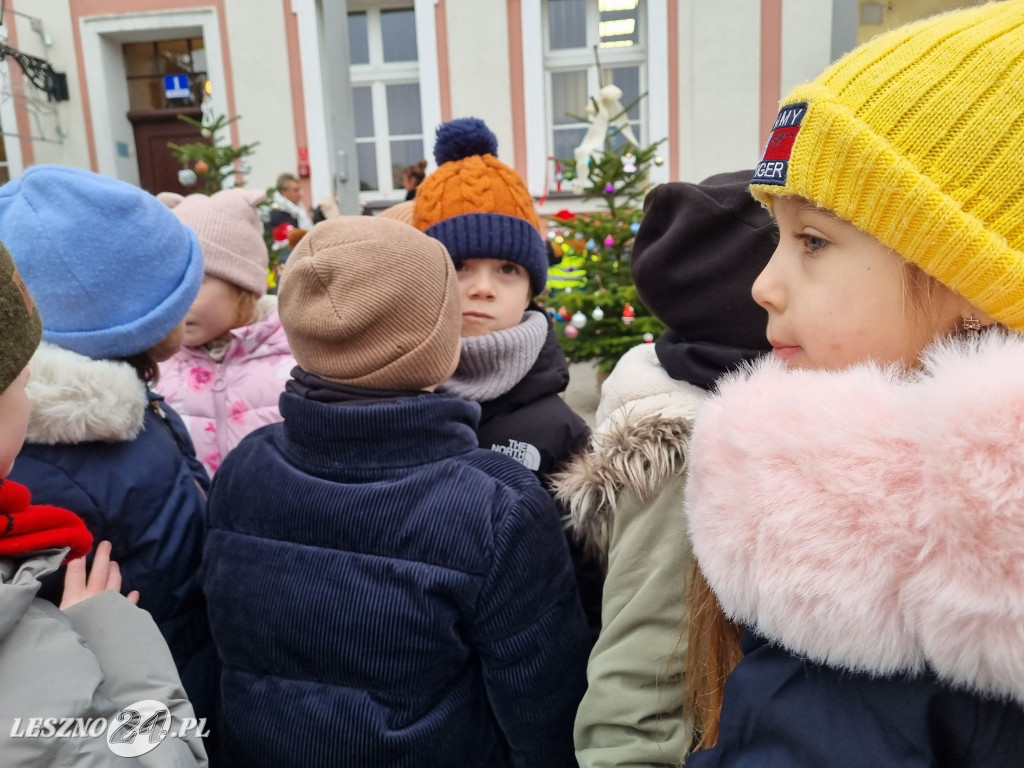 Przedszkolaki ustroiły choinki na Rynku w Rydzynie