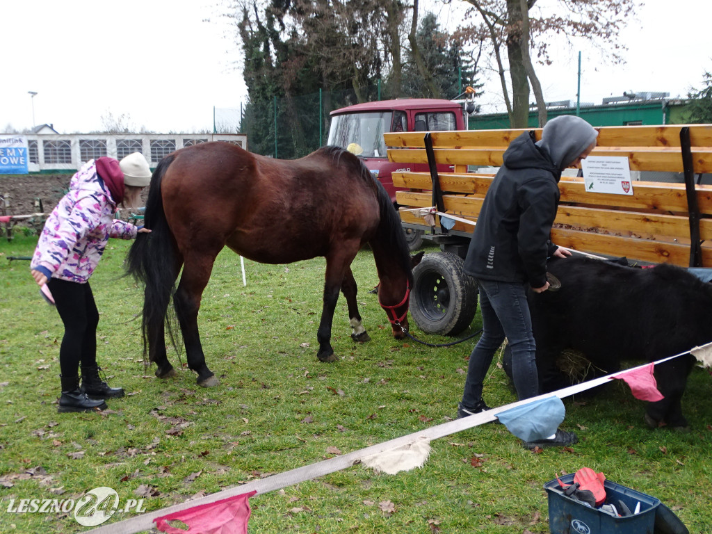 Jarmark świąteczny w Wilkowicach 2025