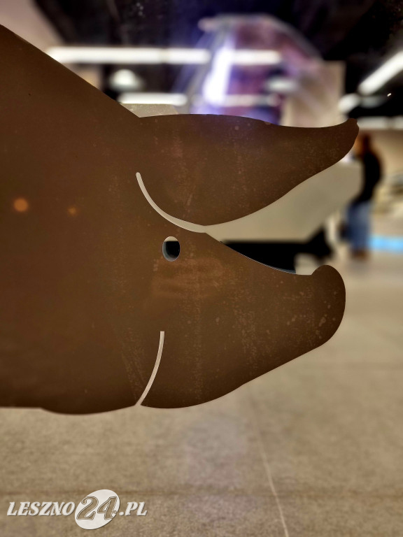 Sklep Kaczmarek Wiejskie Wędliny już w Lesznie