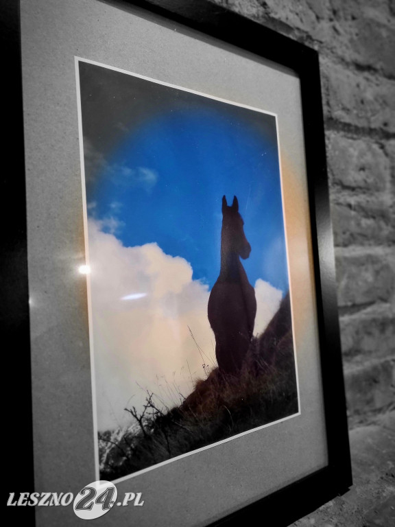 Wystawa fotografii Heleny Nowakowskiej z UTW w Lesznie