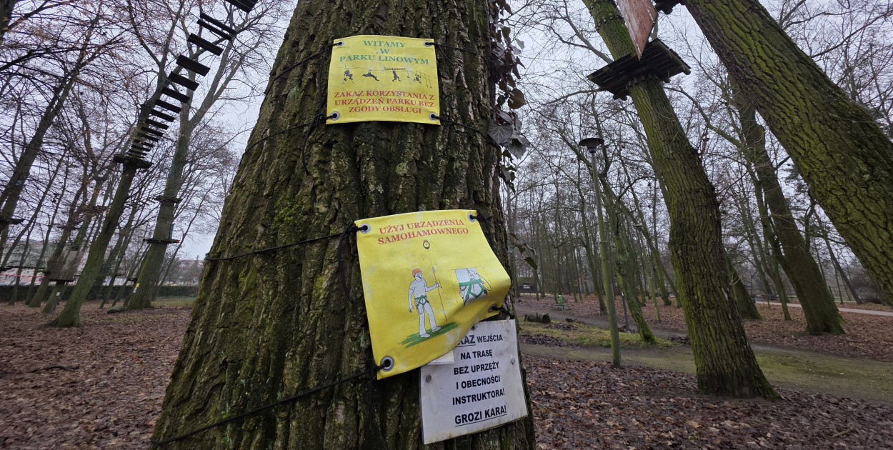 Park linowy Tarzan w MiniZoo w Lesznie