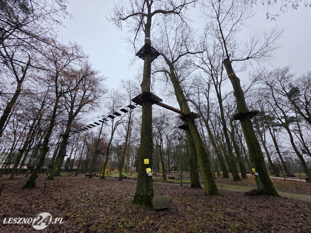 Park linowy Tarzan w MiniZoo w Lesznie