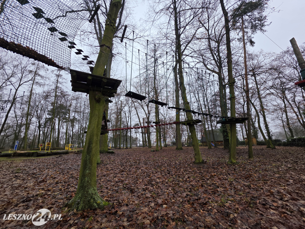 Park linowy Tarzan w MiniZoo w Lesznie