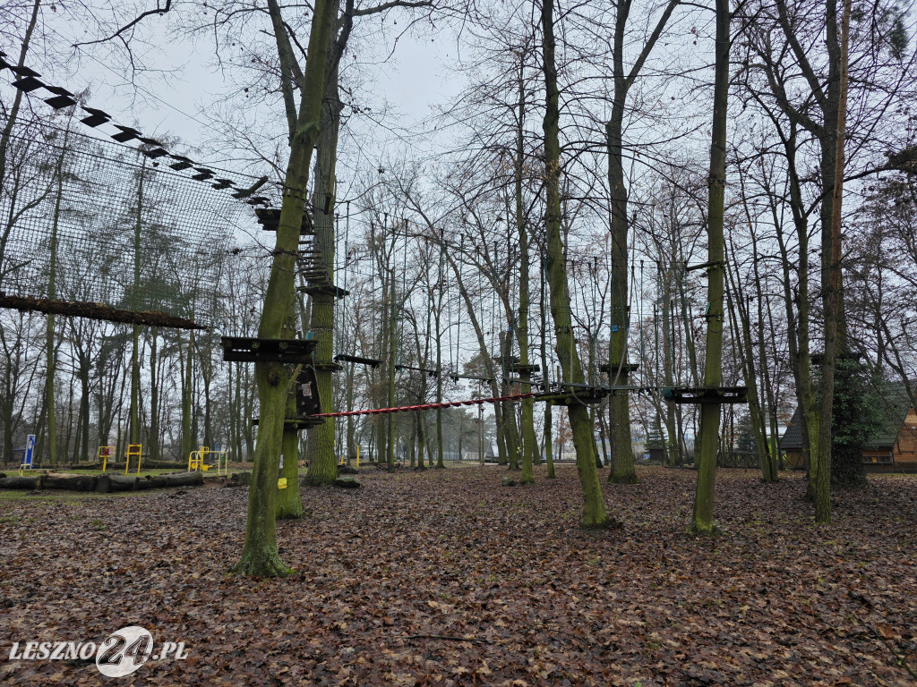 Park linowy Tarzan w MiniZoo w Lesznie