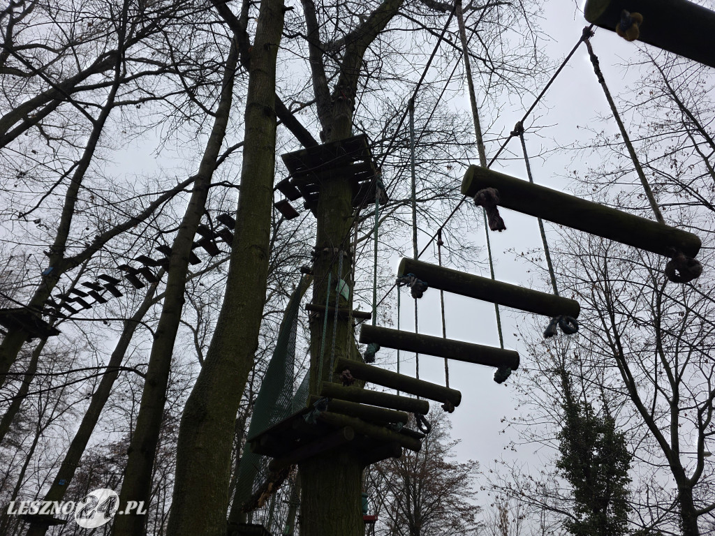 Park linowy Tarzan w MiniZoo w Lesznie