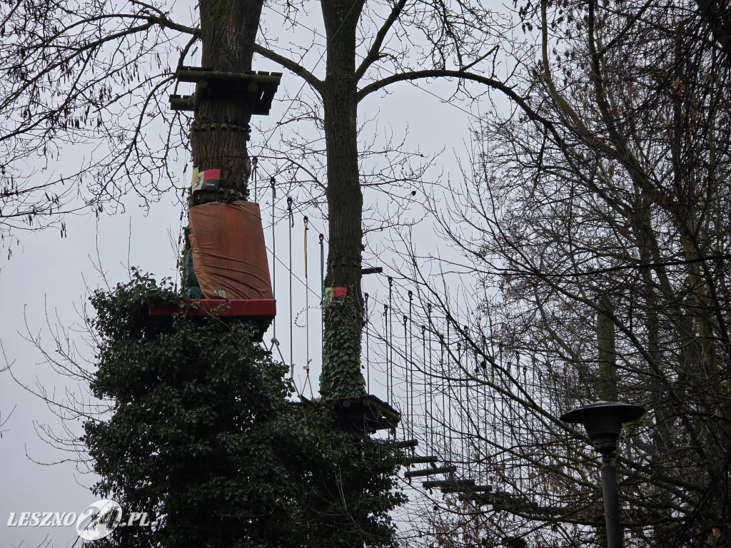 Park linowy Tarzan w MiniZoo w Lesznie