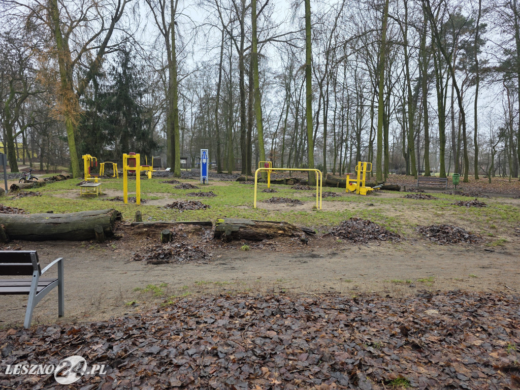 Park linowy Tarzan w MiniZoo w Lesznie