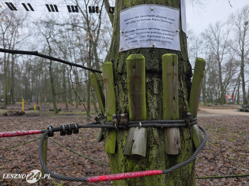 Park linowy Tarzan w MiniZoo w Lesznie