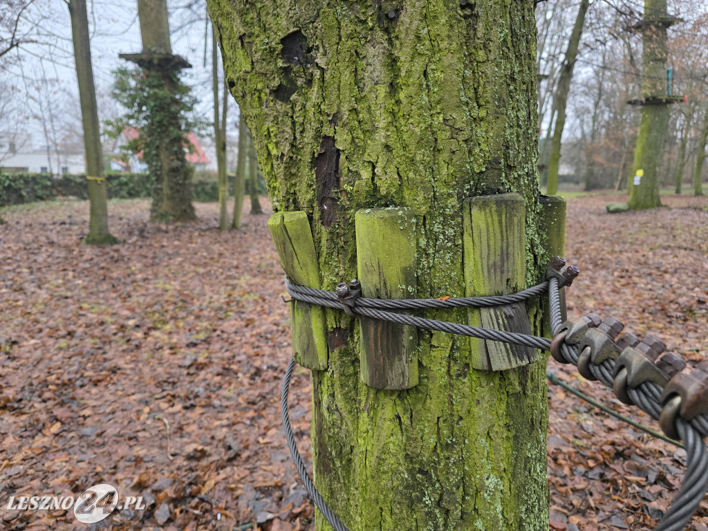 Park linowy Tarzan w MiniZoo w Lesznie