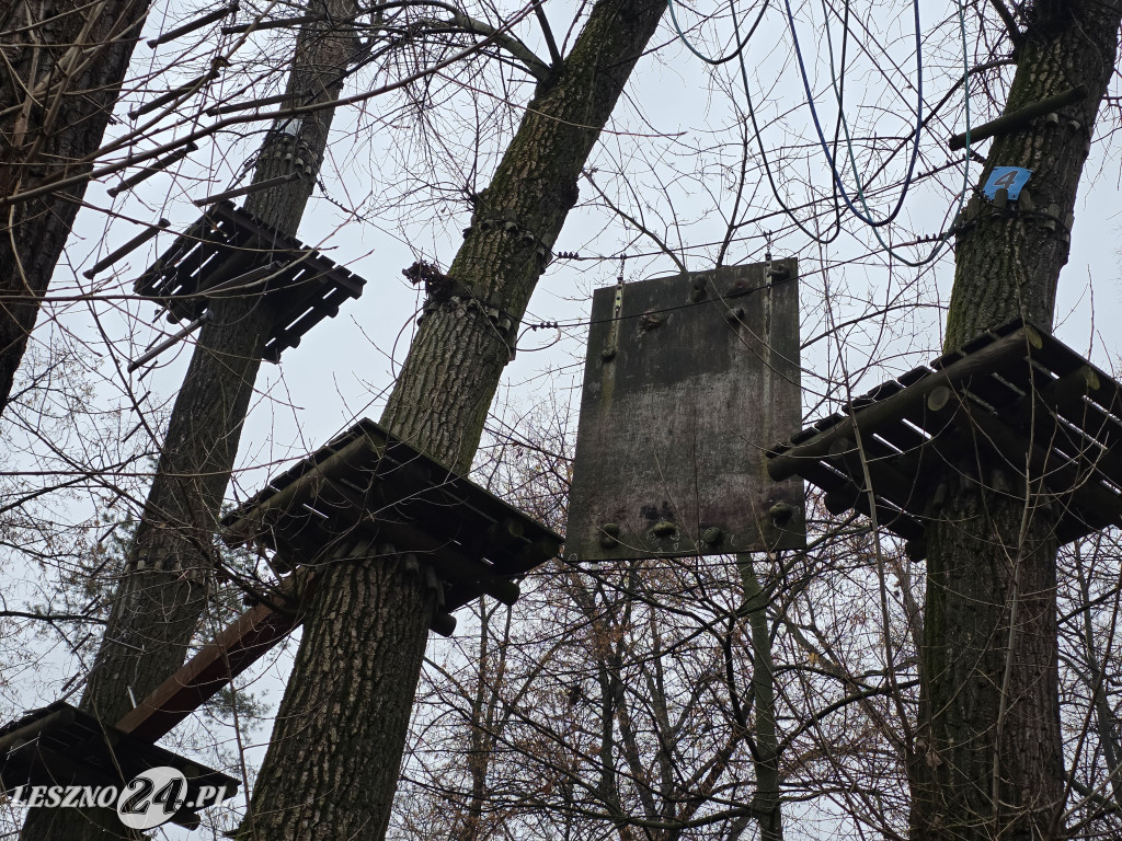 Park linowy Tarzan w MiniZoo w Lesznie