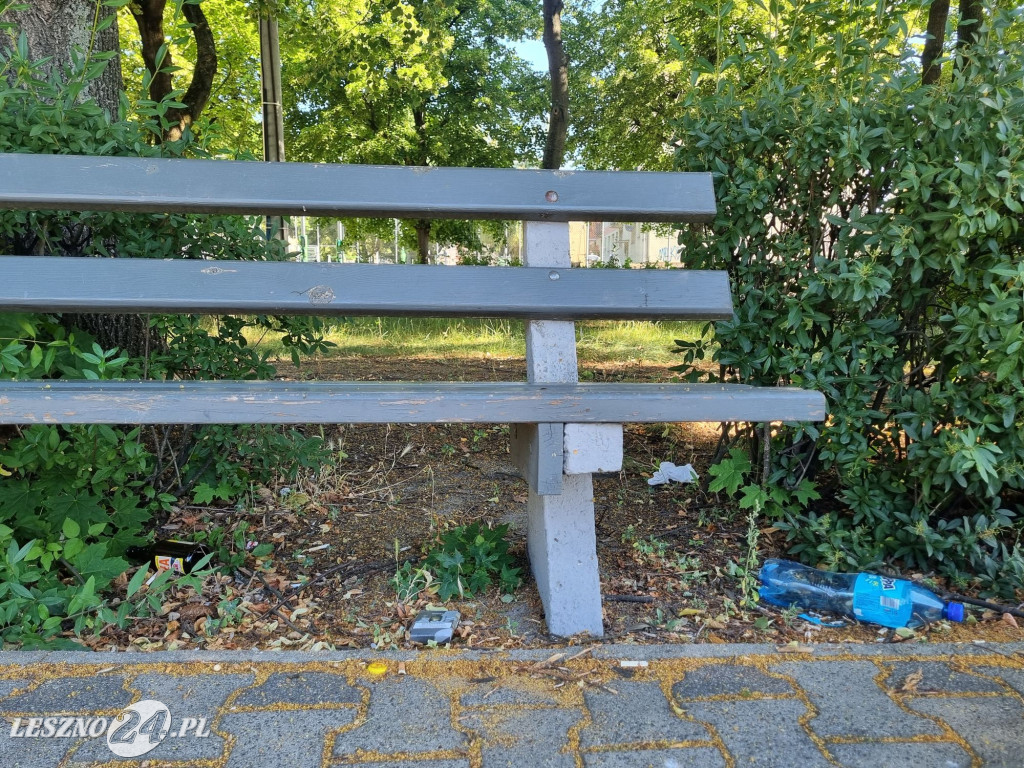 Zaśmiecone Leszno 2025