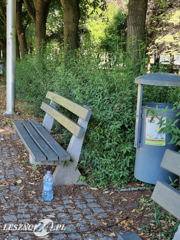 Zaśmiecone Leszno 2025