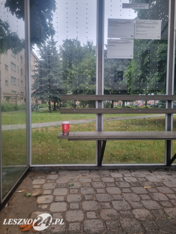 Zaśmiecone Leszno 2025