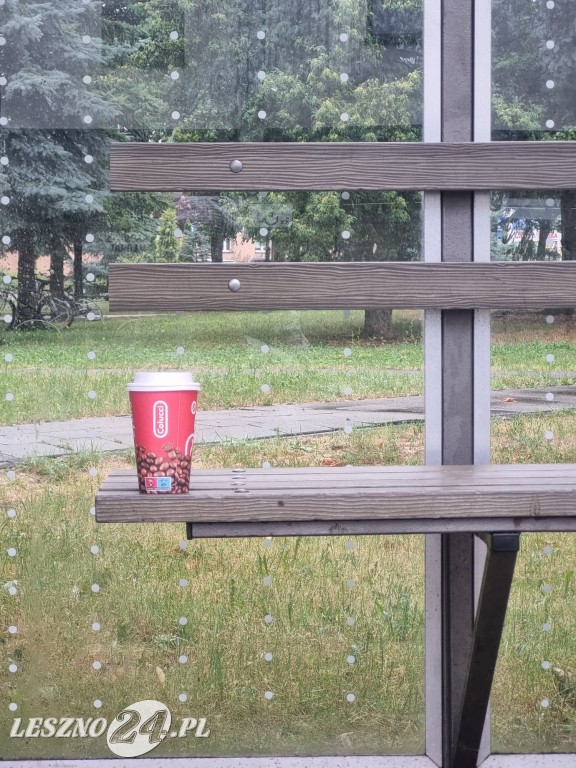 Zaśmiecone Leszno 2025