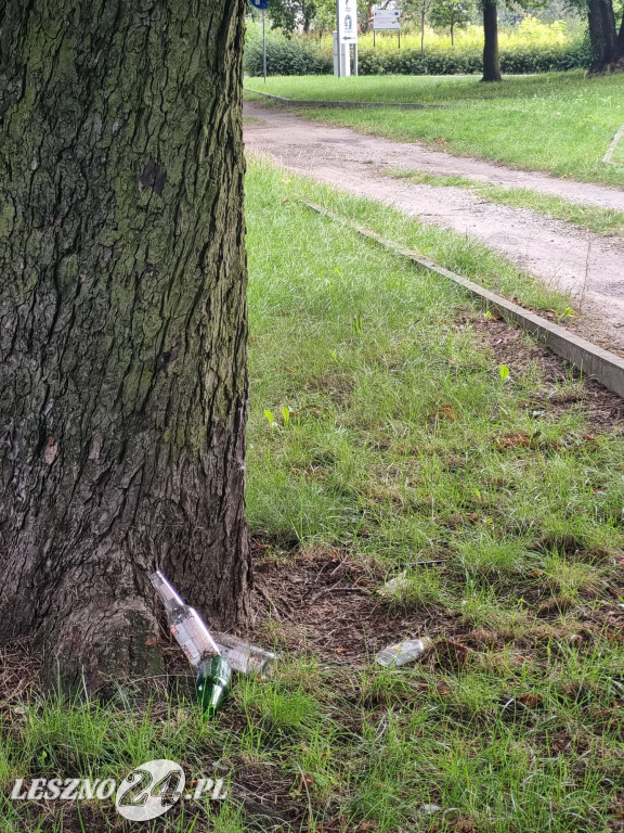 Zaśmiecone Leszno 2025