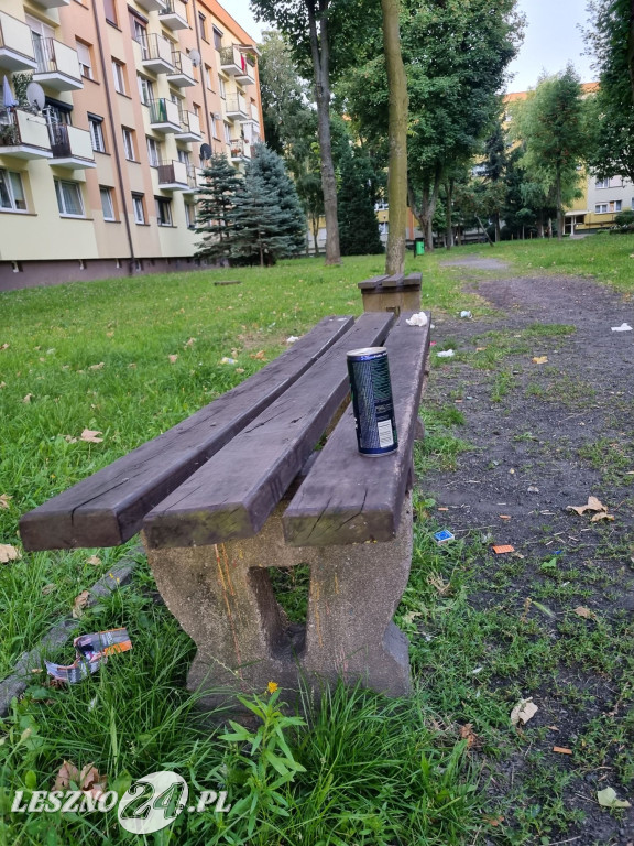 Zaśmiecone Leszno 2025