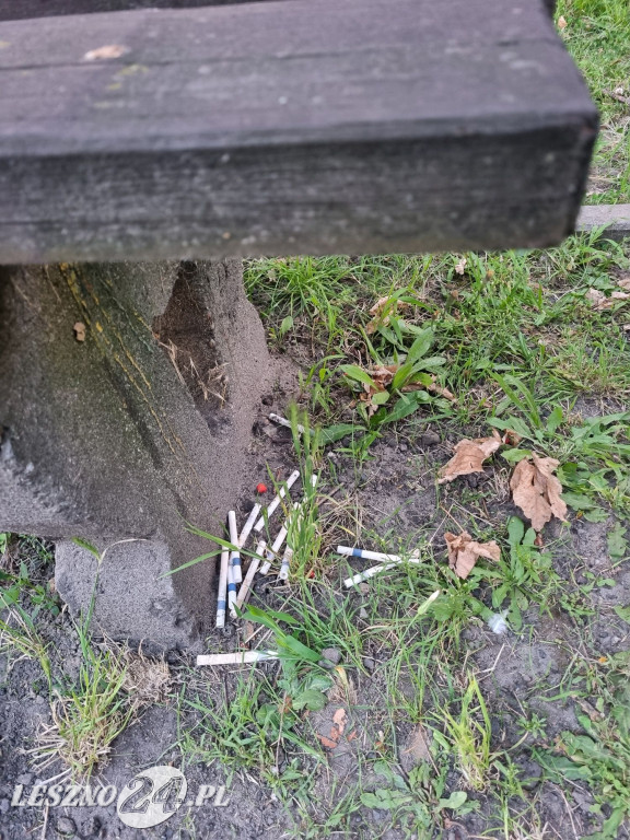 Zaśmiecone Leszno 2025