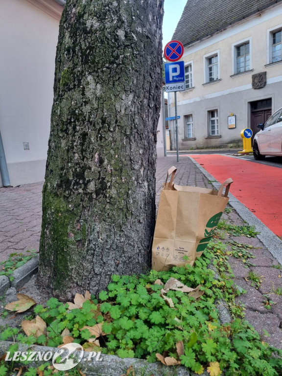 Zaśmiecone Leszno 2025