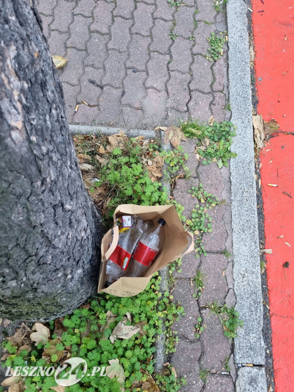 Zaśmiecone Leszno 2025