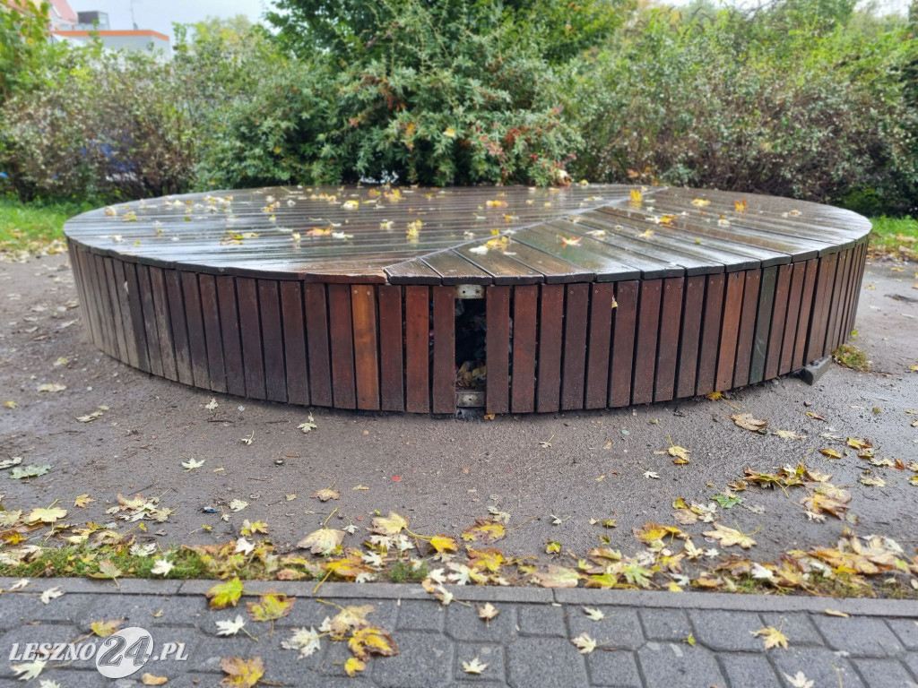 Zaśmiecone Leszno 2025