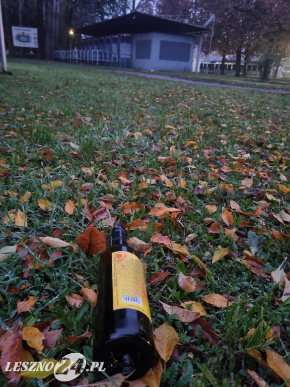 Zaśmiecone Leszno 2025