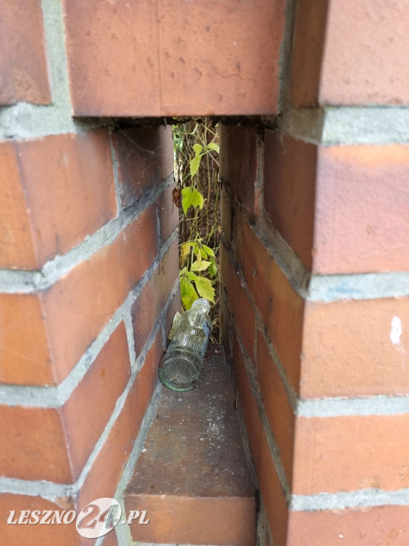 Zaśmiecone Leszno 2025