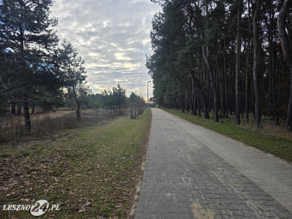 Ścieżka pieszo-rowerowa w Zaborowie