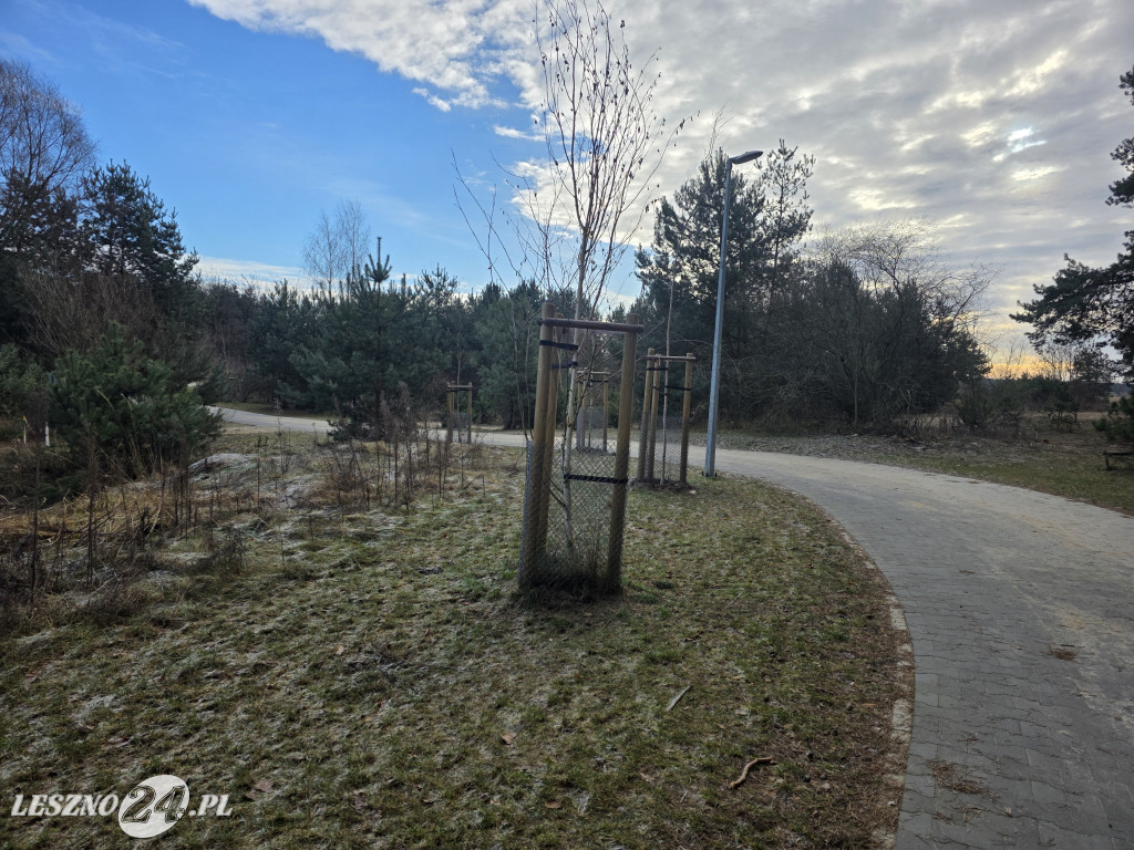 Ścieżka pieszo-rowerowa w Zaborowie