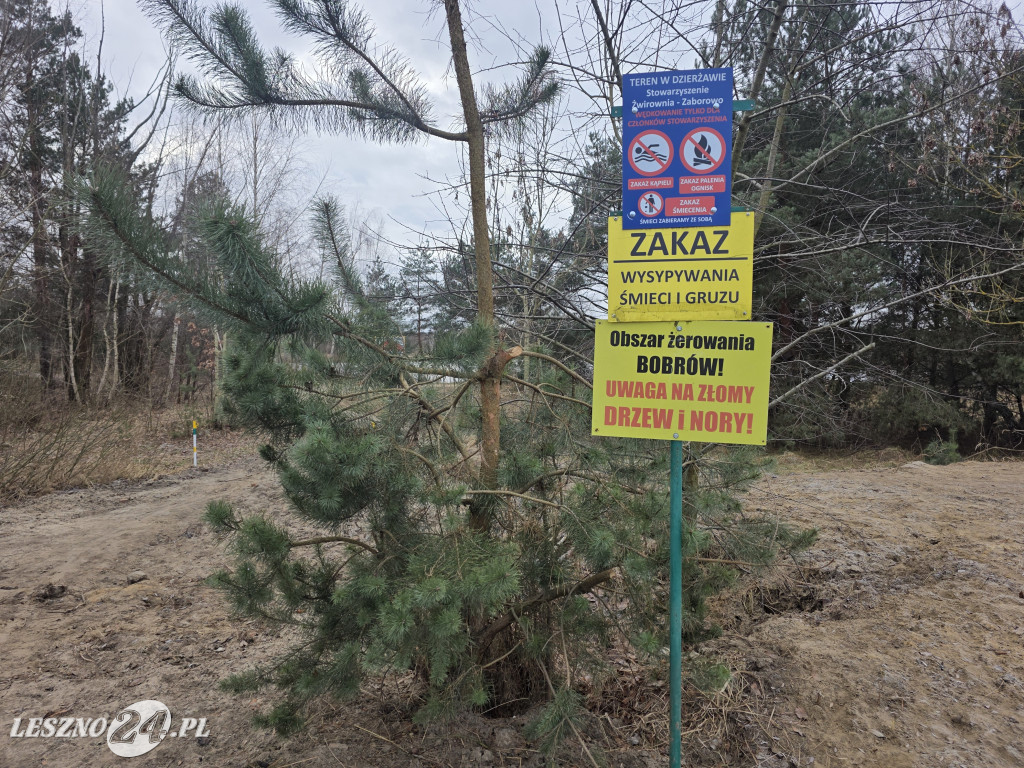 Ścieżka pieszo-rowerowa w Zaborowie