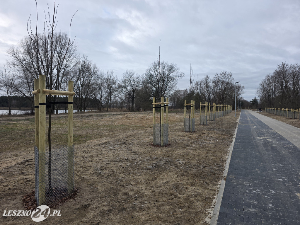 Ścieżka pieszo-rowerowa w Zaborowie