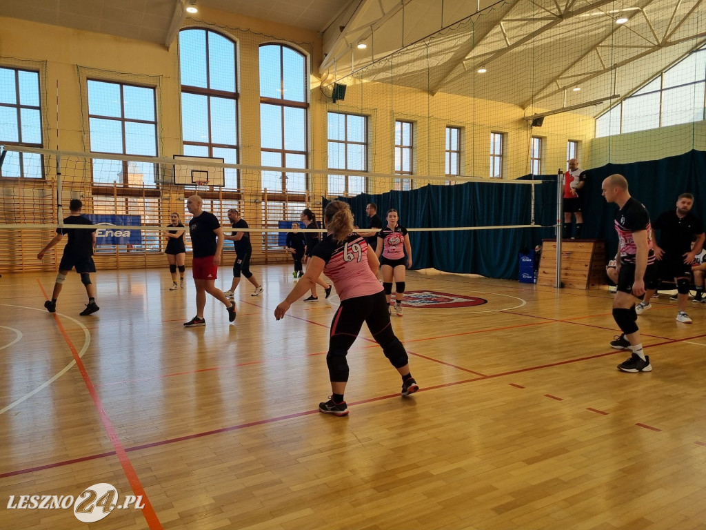 Siatkarze dla WOŚP w Rydzynie