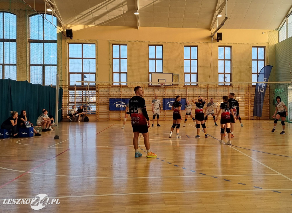 Siatkarze dla WOŚP w Rydzynie