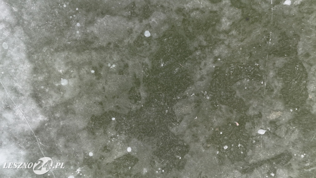 Zamarznięty zbiornik w Rydzynie