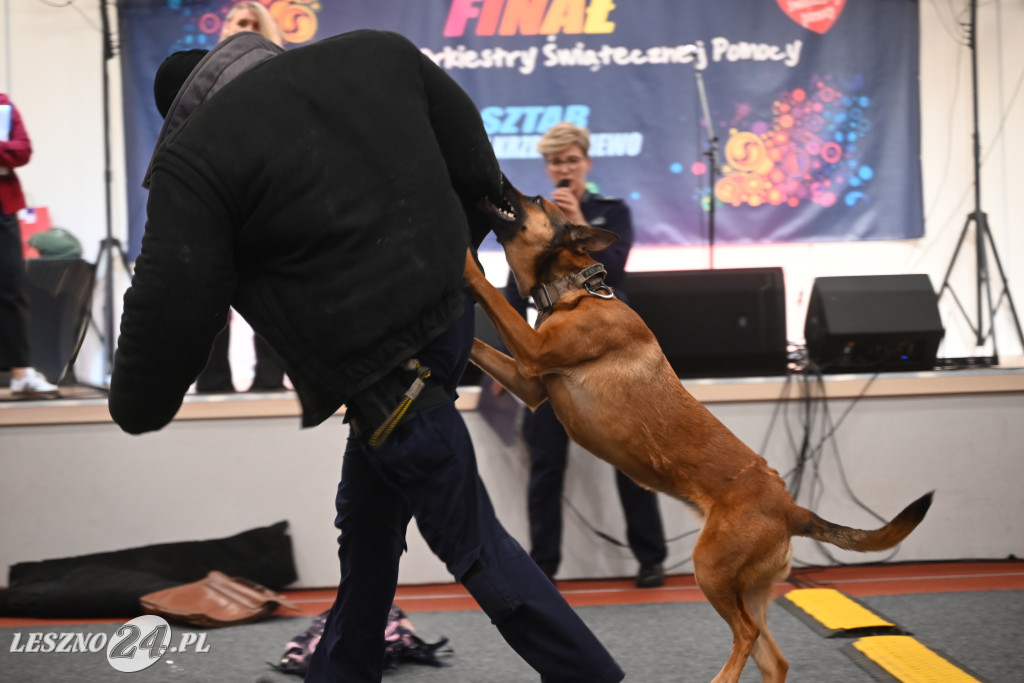 WOŚP w gminie Krzemieniewo