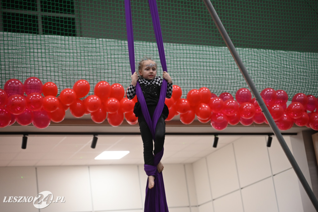 WOŚP w gminie Krzemieniewo