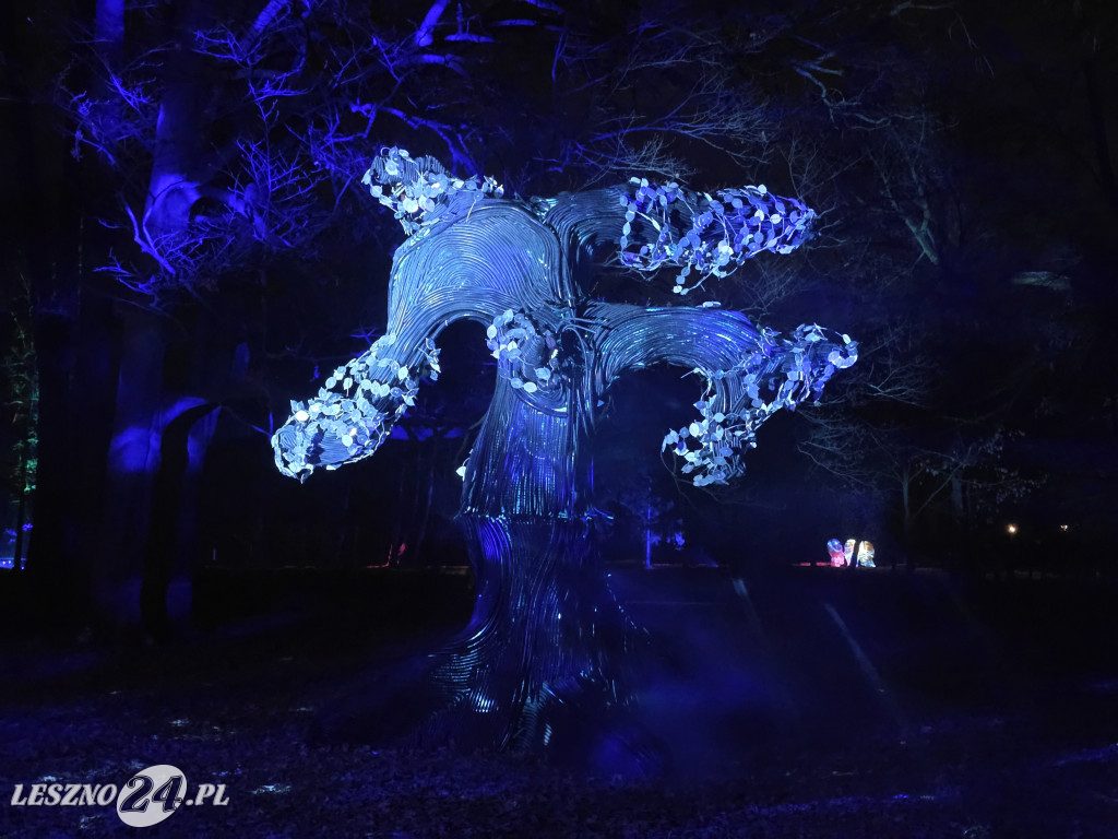 Festiwal Światła KALEJDOSKOP w Zamku w Rokosowie