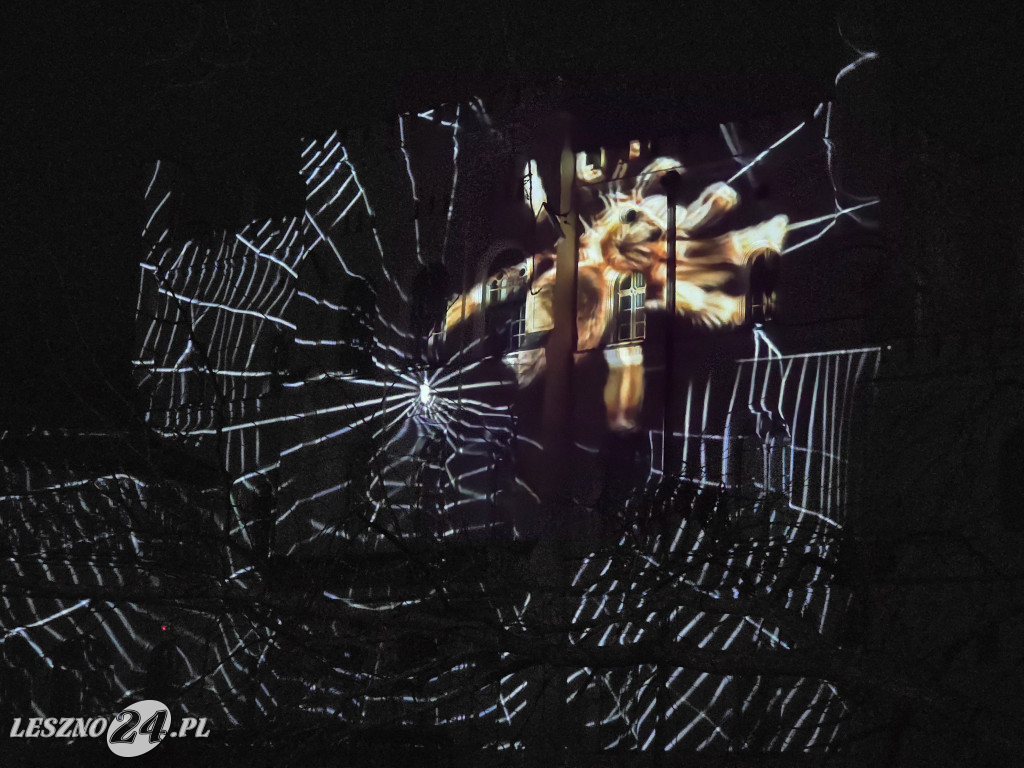 Festiwal Światła KALEJDOSKOP w Zamku w Rokosowie