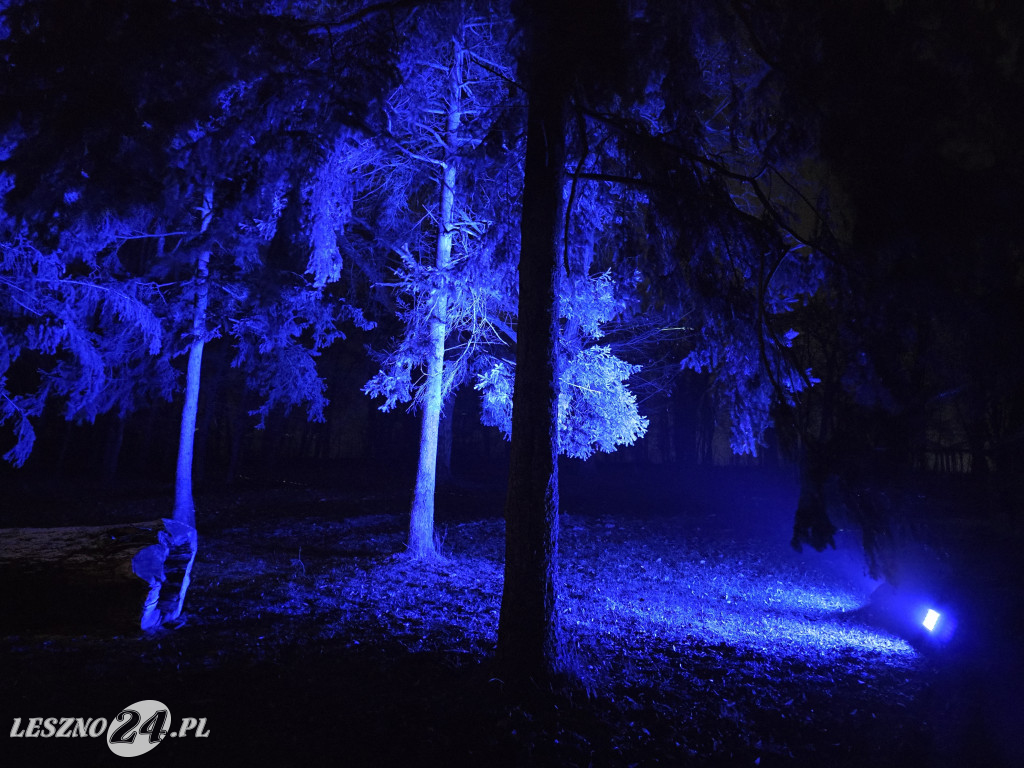 Festiwal Światła KALEJDOSKOP w Zamku w Rokosowie