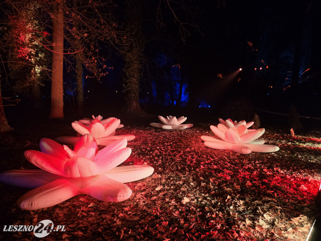 Festiwal Światła KALEJDOSKOP w Zamku w Rokosowie