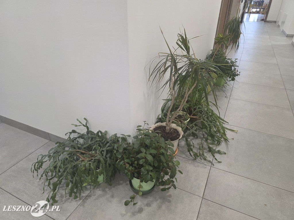 Przenosiny Przedszkola nr 19 w Lesznie