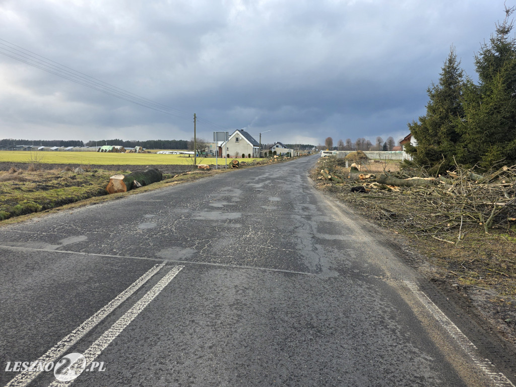 Wycinka drzew przy drodze Lipno-Goniembice