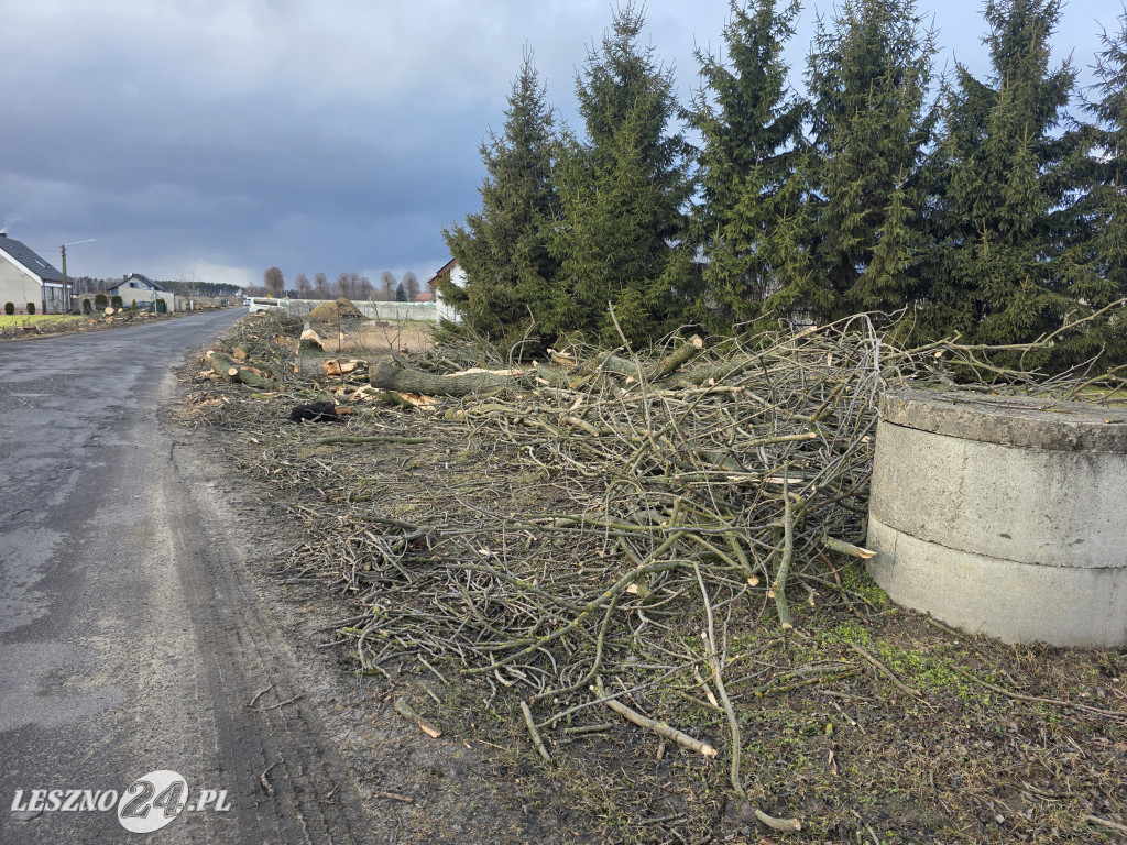 Wycinka drzew przy drodze Lipno-Goniembice