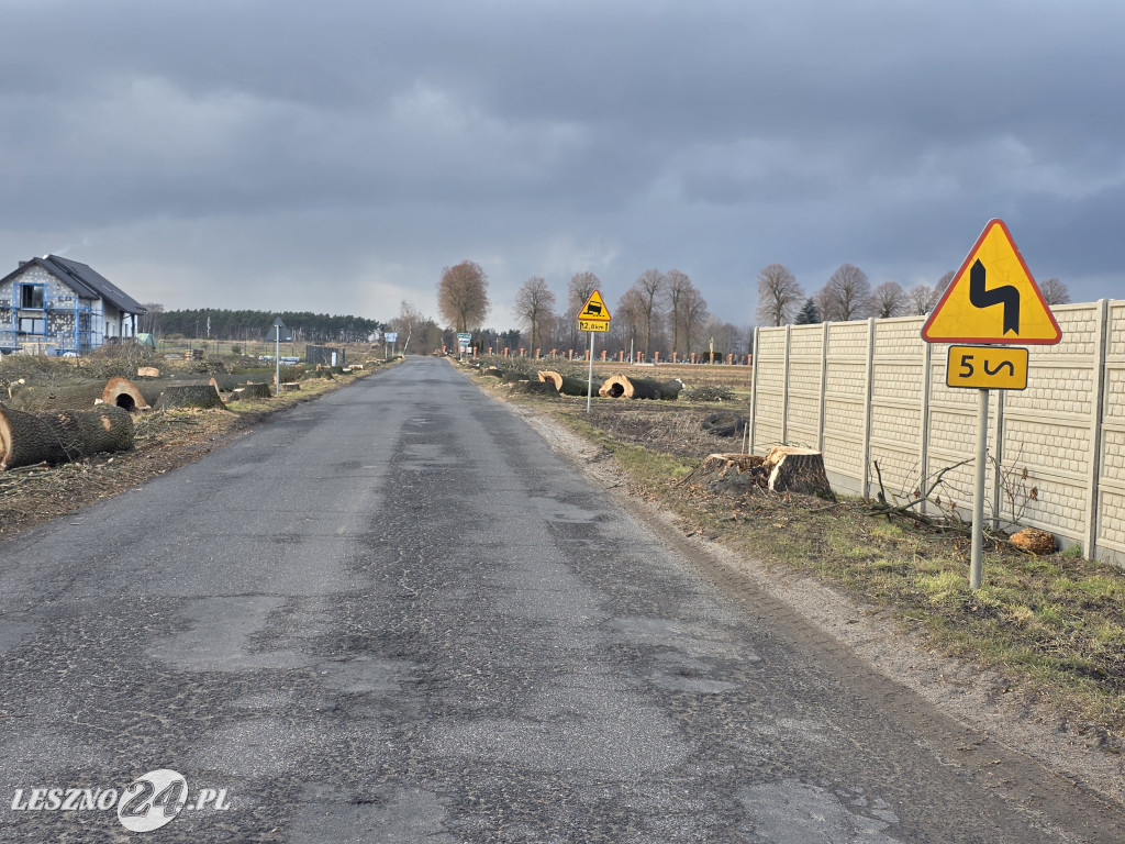 Wycinka drzew przy drodze Lipno-Goniembice