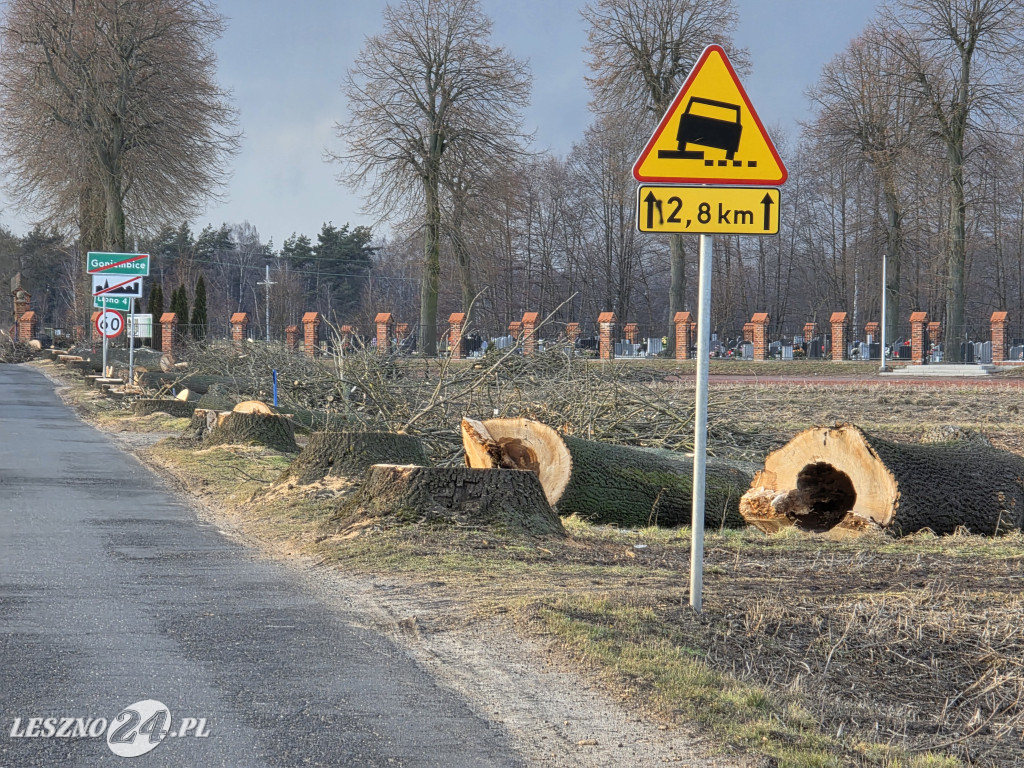 Wycinka drzew przy drodze Lipno-Goniembice